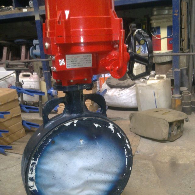 AEW butterfly valve with electric actuator