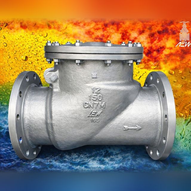 AEW 300 mm CN7M swing check valve