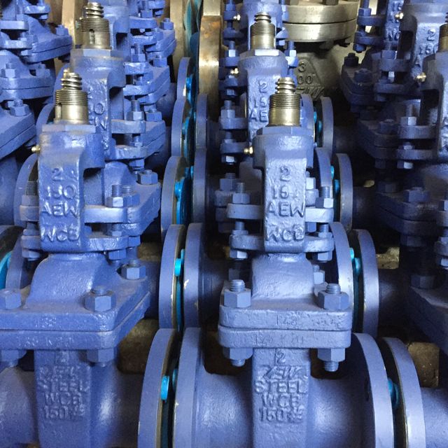 Rows of blue-primed 2-inch WCB cast gate-valve bodies in the AEW works